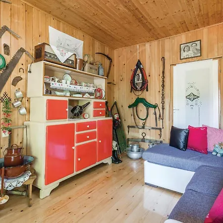 Pet Friendly In * Lič