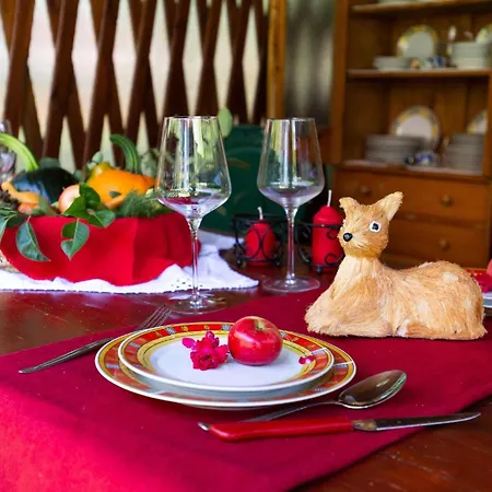 Pet Friendly In 펜션 Lič